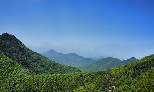 我們的愿景